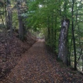 [img-20131013-090125.jpeg]